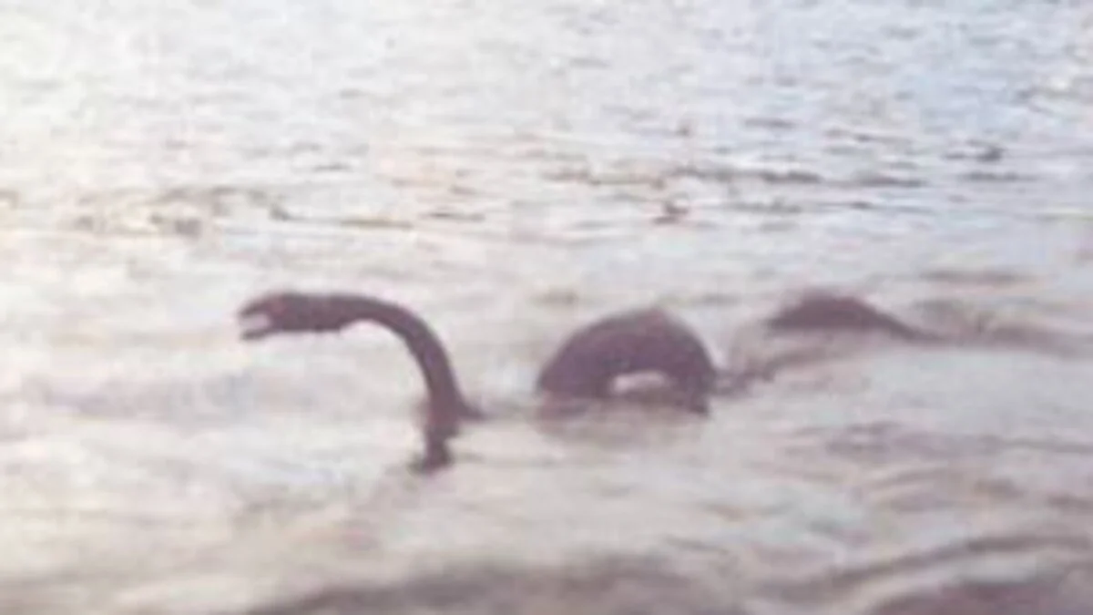 Supuesto avistamiento del Nahuelito